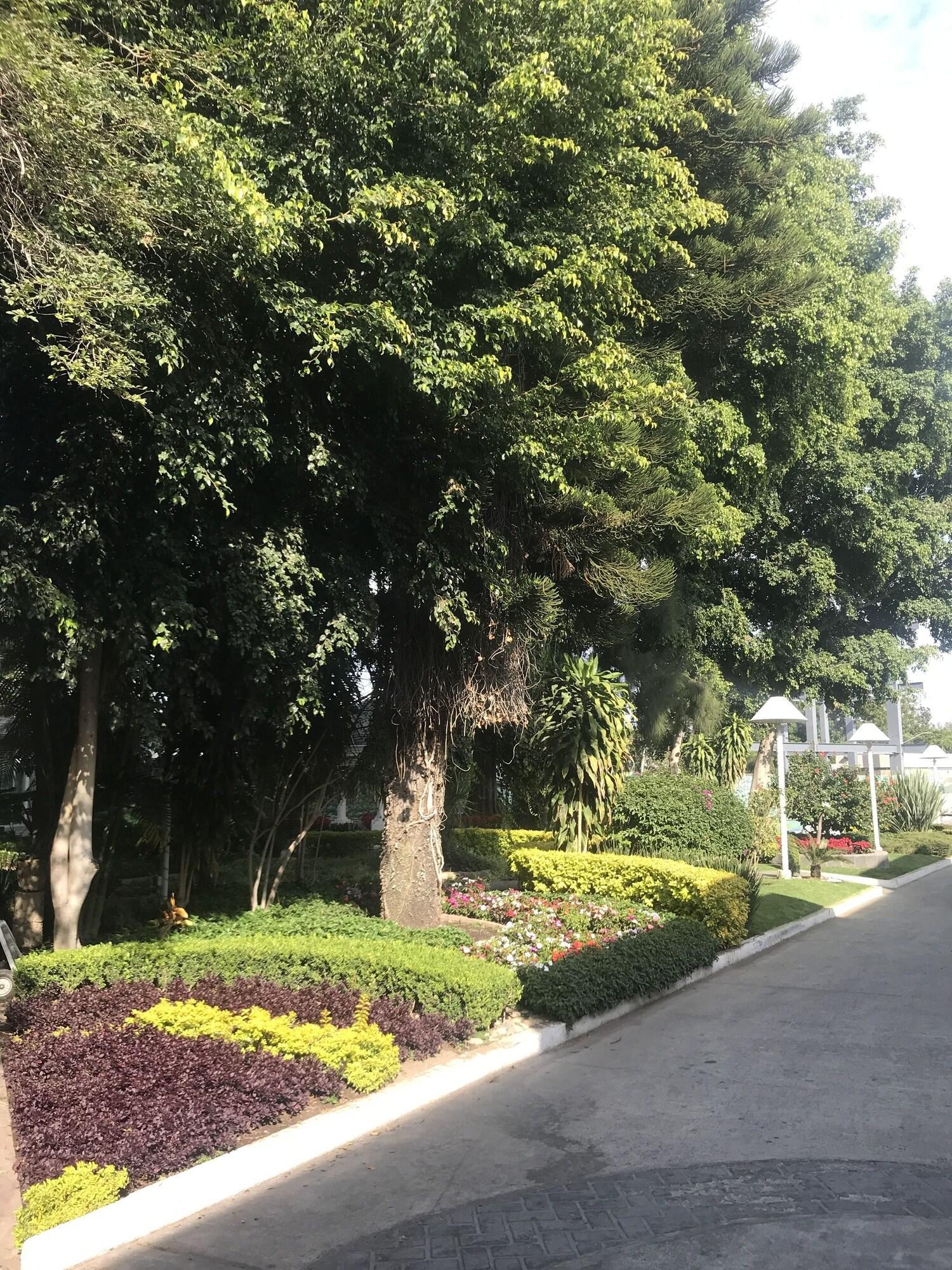 Hotel Ronda Minerva غوادالاجارا المظهر الخارجي الصورة